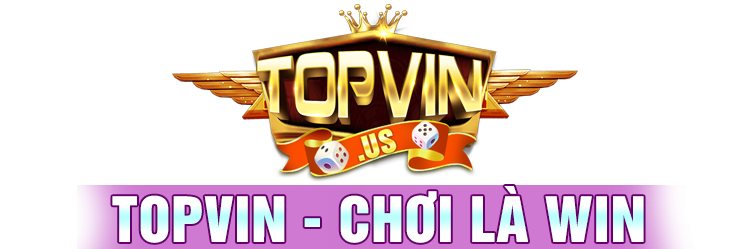 TOPVIN Logo
