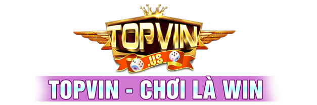 TOPVIN Logo